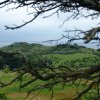 Tour 11: Hiddensee
